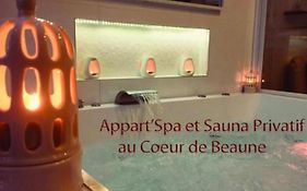 Appart' Spa et Sauna Privatif Au Cœur De Beaune